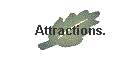 Attractions.